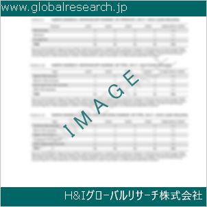 グローバルリサーチ調査資料のイメージ